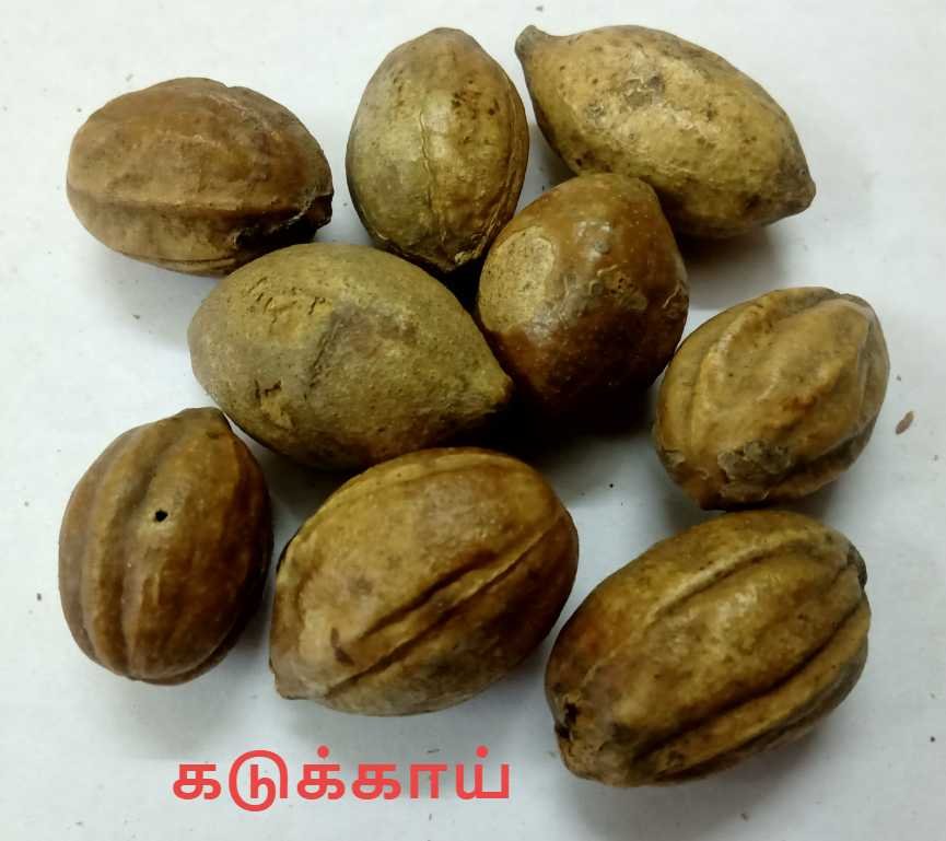 உரை மருந்து