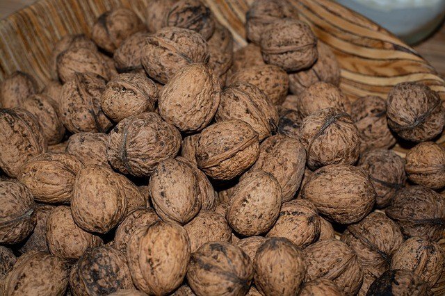 List of omega-3 foods